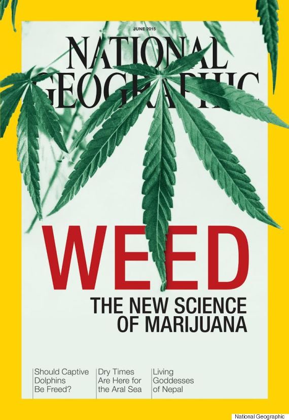 o-WEED-SCIENCE-COVER-570.jpg