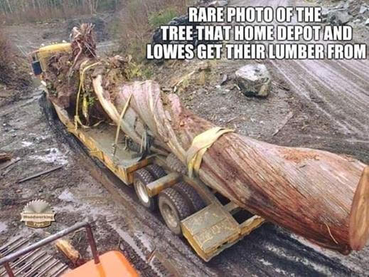 Lumber....jpg