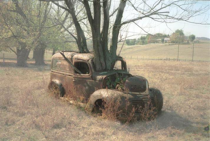 Old-car-with-tree-growing-thru.jpg