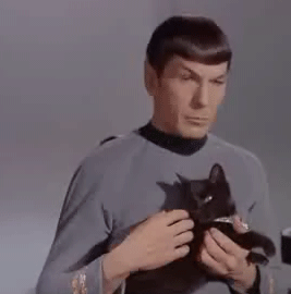 Spock_s_cat_by_vintageseatcushions-d31ugm0-1-.gif