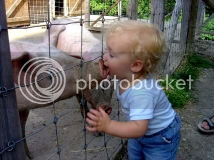 toddler-kissing-a-pig.jpg
