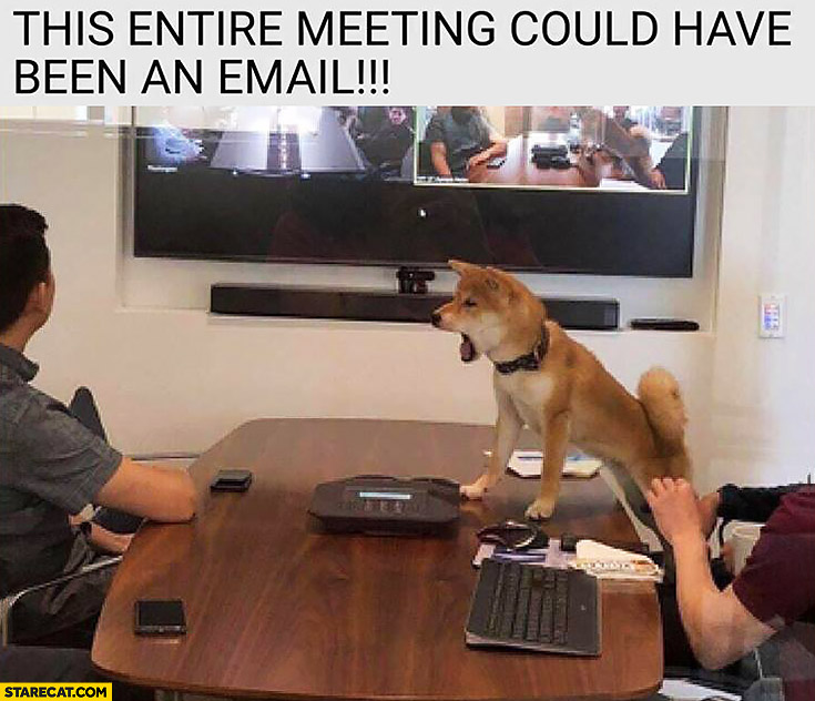 this-entire-meeting-could-have-been-an-email-angry-dog.jpg