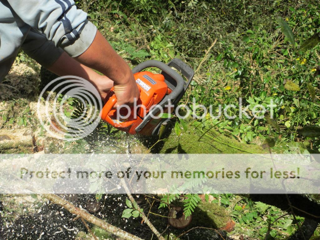 arboristGOAT006.jpg