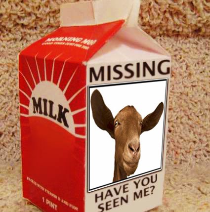Milk-Carton-Goat.jpg