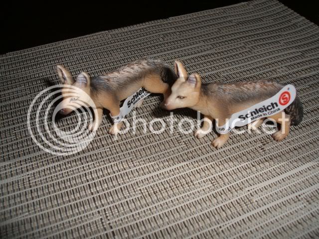 oct3108schleichjackals640x480.jpg