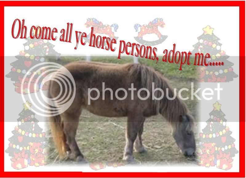 xmashorse3.jpg