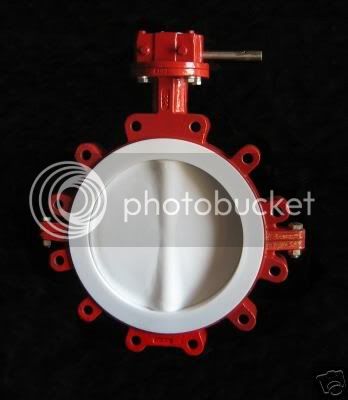 ptfe12inchvalve.jpg