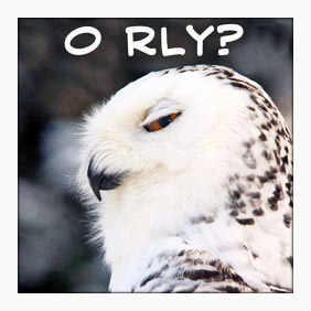 O-Rly-owls-13509350-282-282.jpg