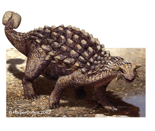 ankylosaurus.jpg