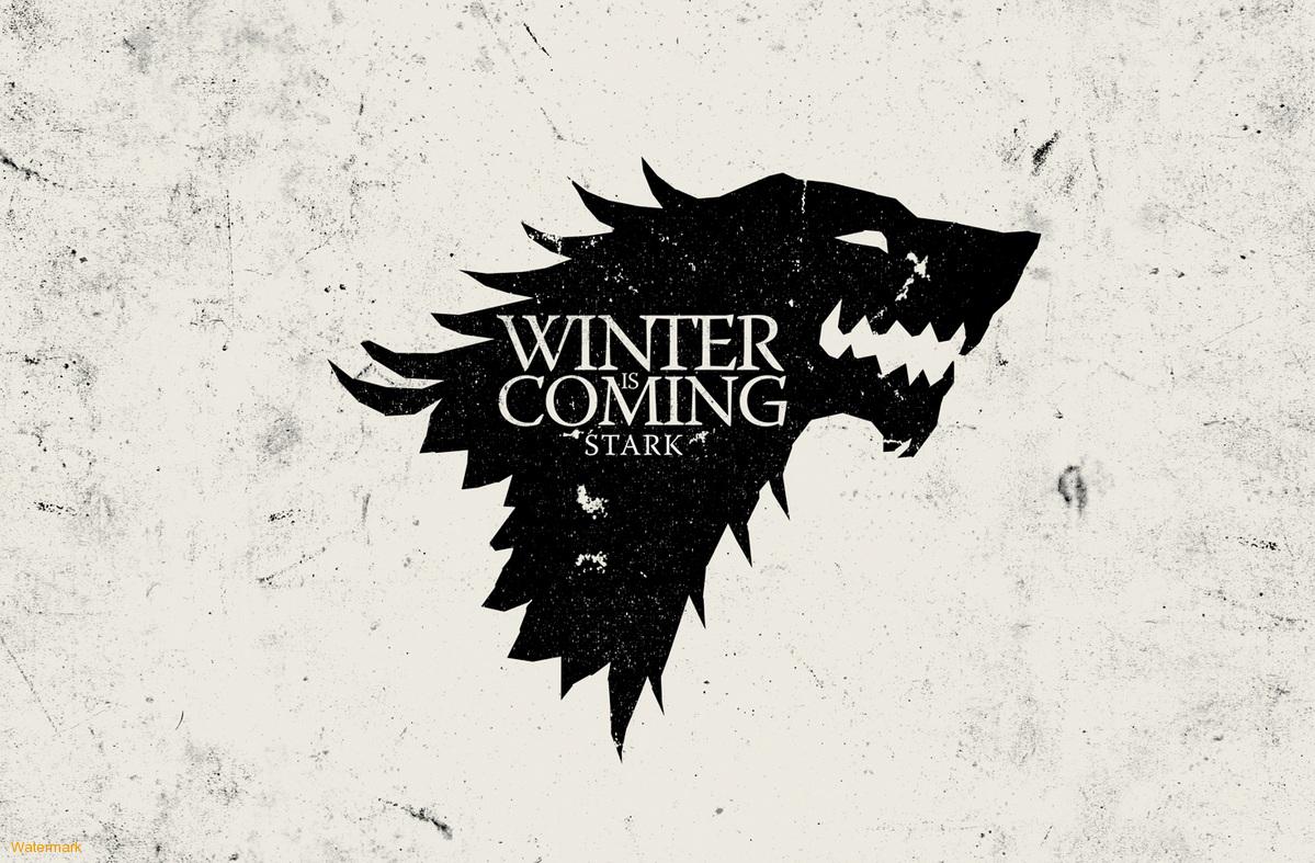 stark-winter-is-coming-game-of-thrones-11.jpeg