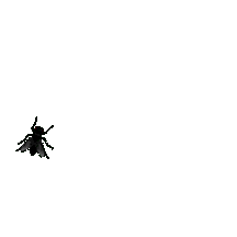 animated-fly-image-0044.gif