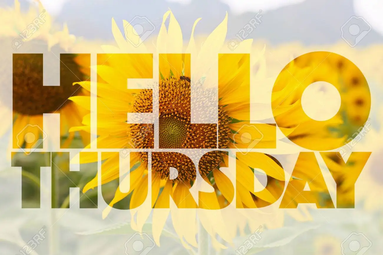 56137610-hello-thursday-word-on-sunflower-background.jpg