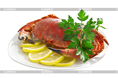 3113167-crab-on-plate.jpg
