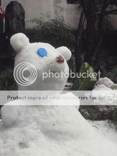 snowbear3.jpg