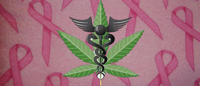 studies-show-marijuana-prevents-breast-cancer-article-thcfinder.jpg
