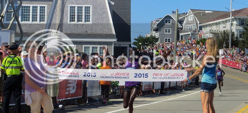 falmouth%20road%20race_zpsow4cwt2k.jpg
