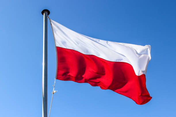 polish-national-flag-waving-on-the-wind-against-a-clear-blue-sky-picture-id1203723592