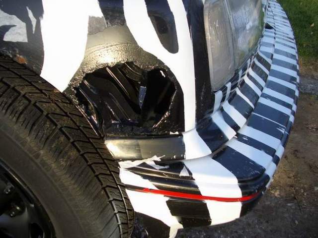 Zebra+Car+Detail11145470877.jpg