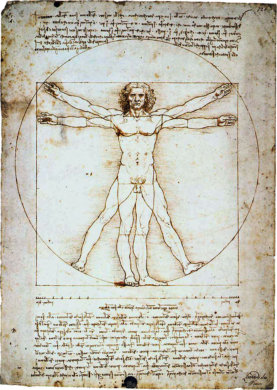 vitruvian-man.jpg