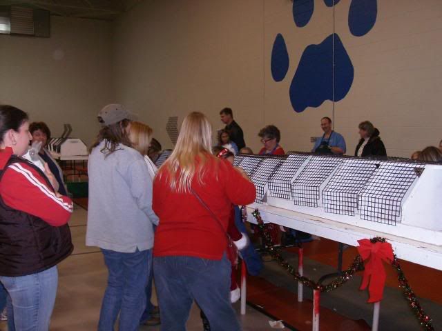 RabbitShow121209017.jpg