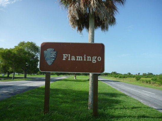 flamingo-sign.jpg