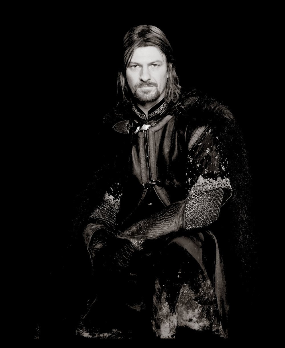 Boromir-boromir-5599623-1000-1222.jpg