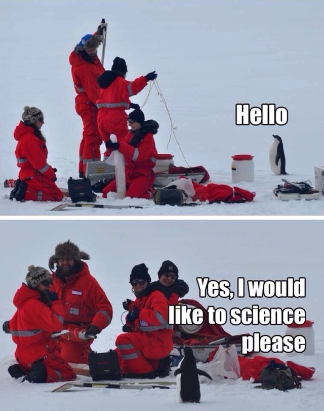 science-penguin.jpg