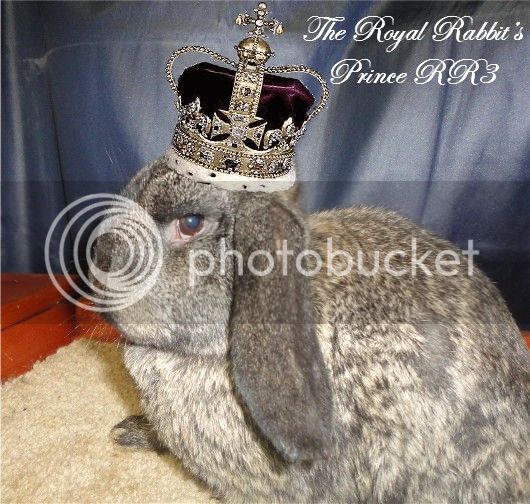 TheRoyalRabbitsPrinceRR3withcrown_zpsa2a38cdb.jpg