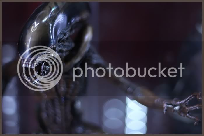 Alien-2-1.jpg