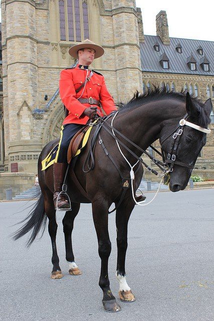 Mountie in front of Parliament Hill, Ottawa, Canada | Ottawa canada, O ...