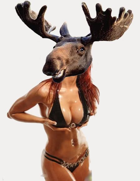 Sex-E-Moose.jpg