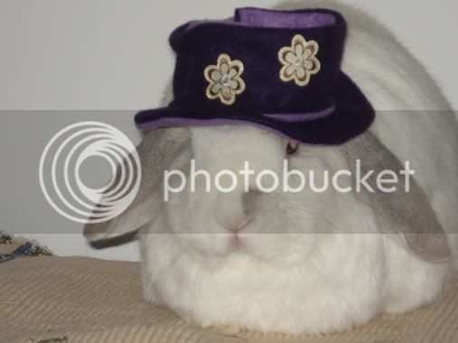 Jackie_Easter_Bonnet-1.jpg