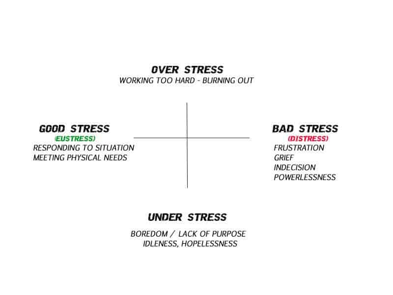 Psychology-of-survival-%E2%80%93-Types-of-stress.jpg