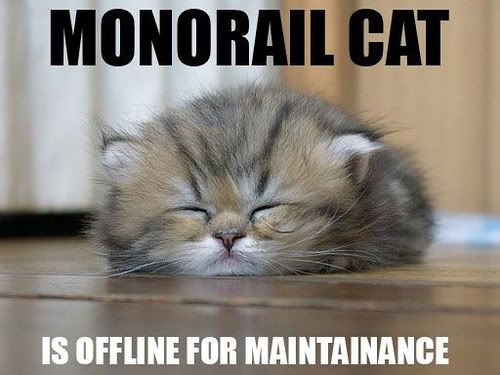 MonorailCatOffline.jpg