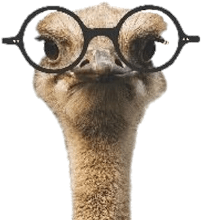 127-1279612_ozzie-the-ostrich-wearing-glasses-comic-verse-for.png