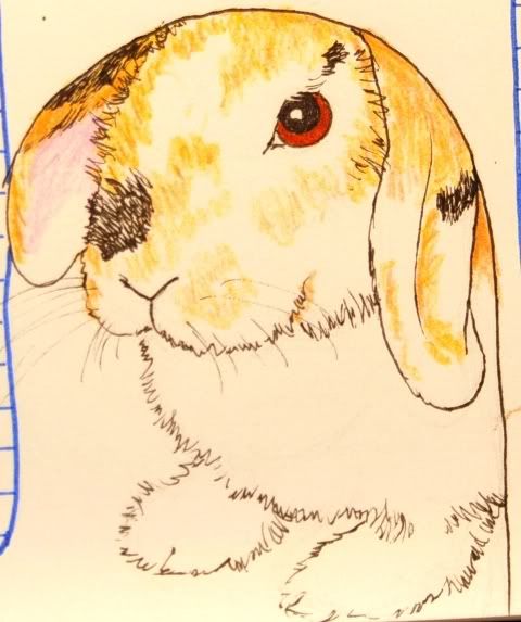 bunnycalendar037a.jpg