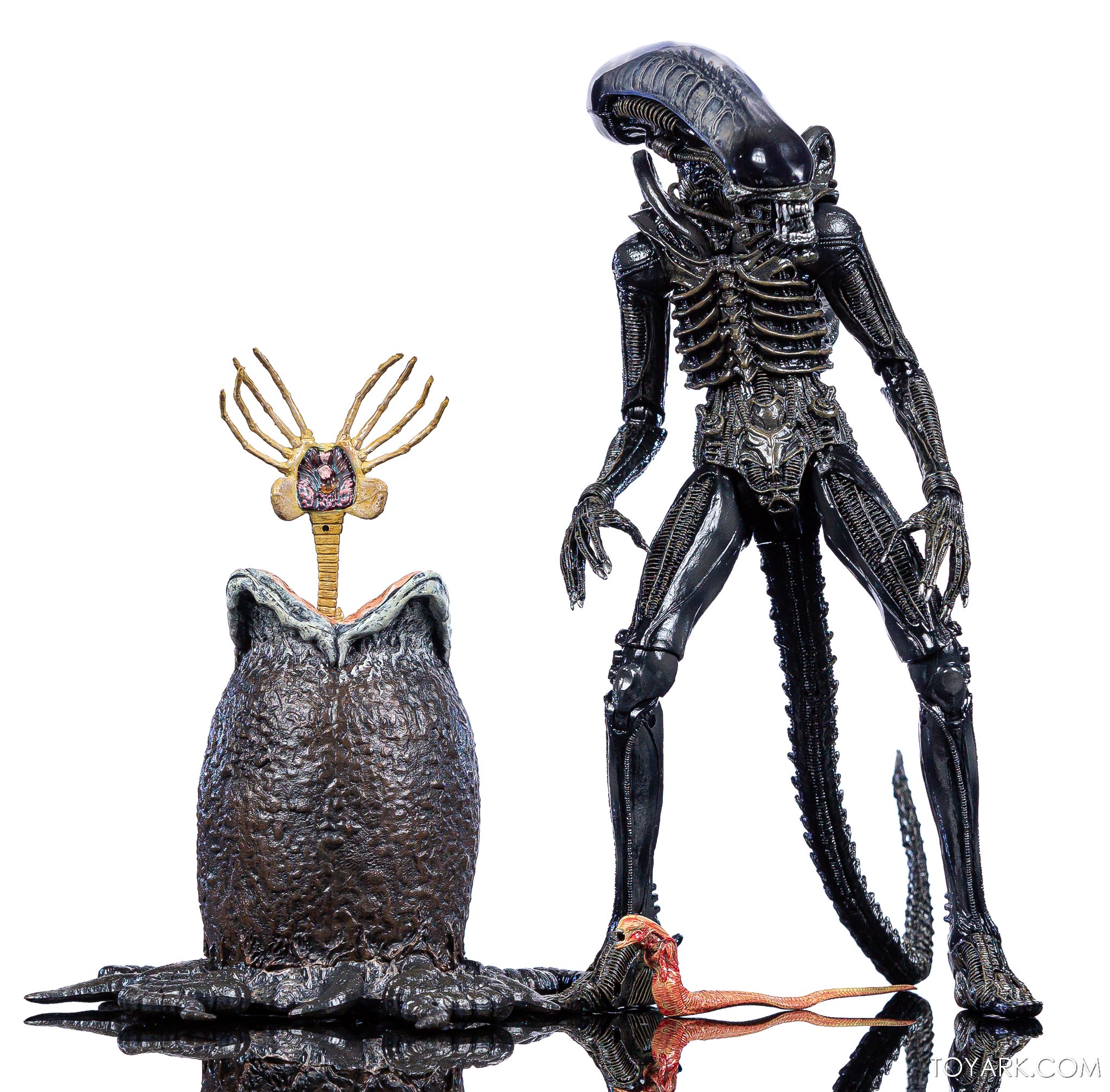 NECA-Big-Chap-Alien-Ultimate-031.jpg