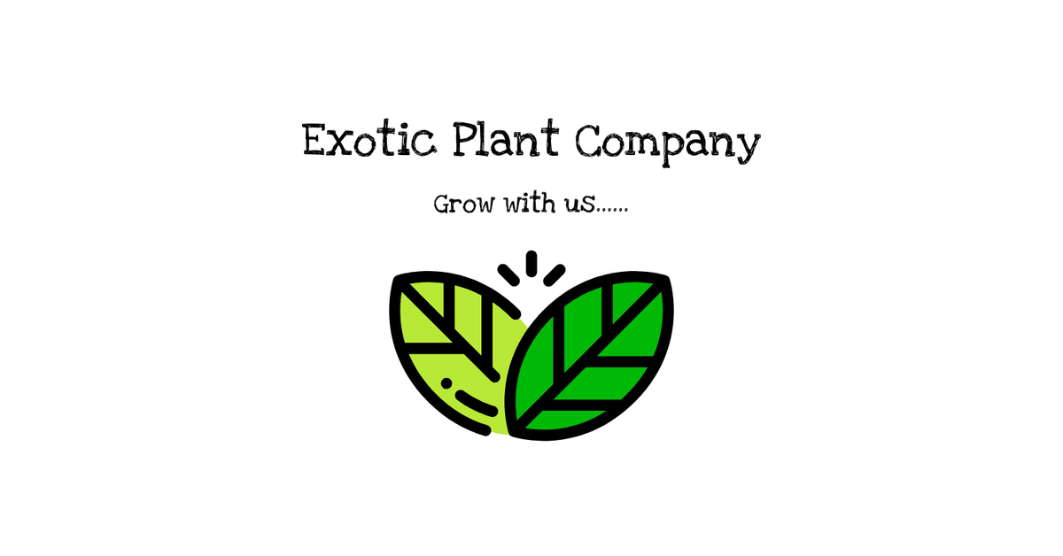 exoticplantcompany.com