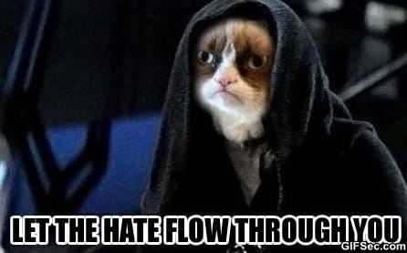 MEME-Grumpy-cat_2.jpg