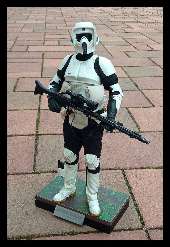 Hot-Toys-Scout-Trooper-16.jpg