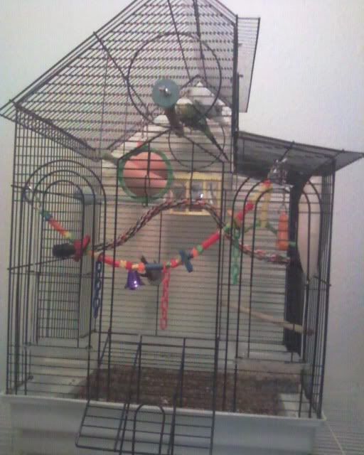 birdcage.jpg