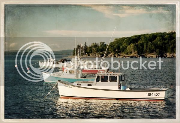 214_bar_harbor_boats_texture.jpg