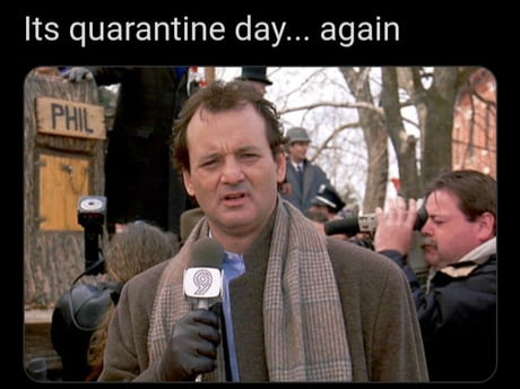 bill-murray-its-quarantine-day-again-groundhog.jpg