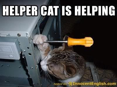 kitty-help-fix-computer.jpg