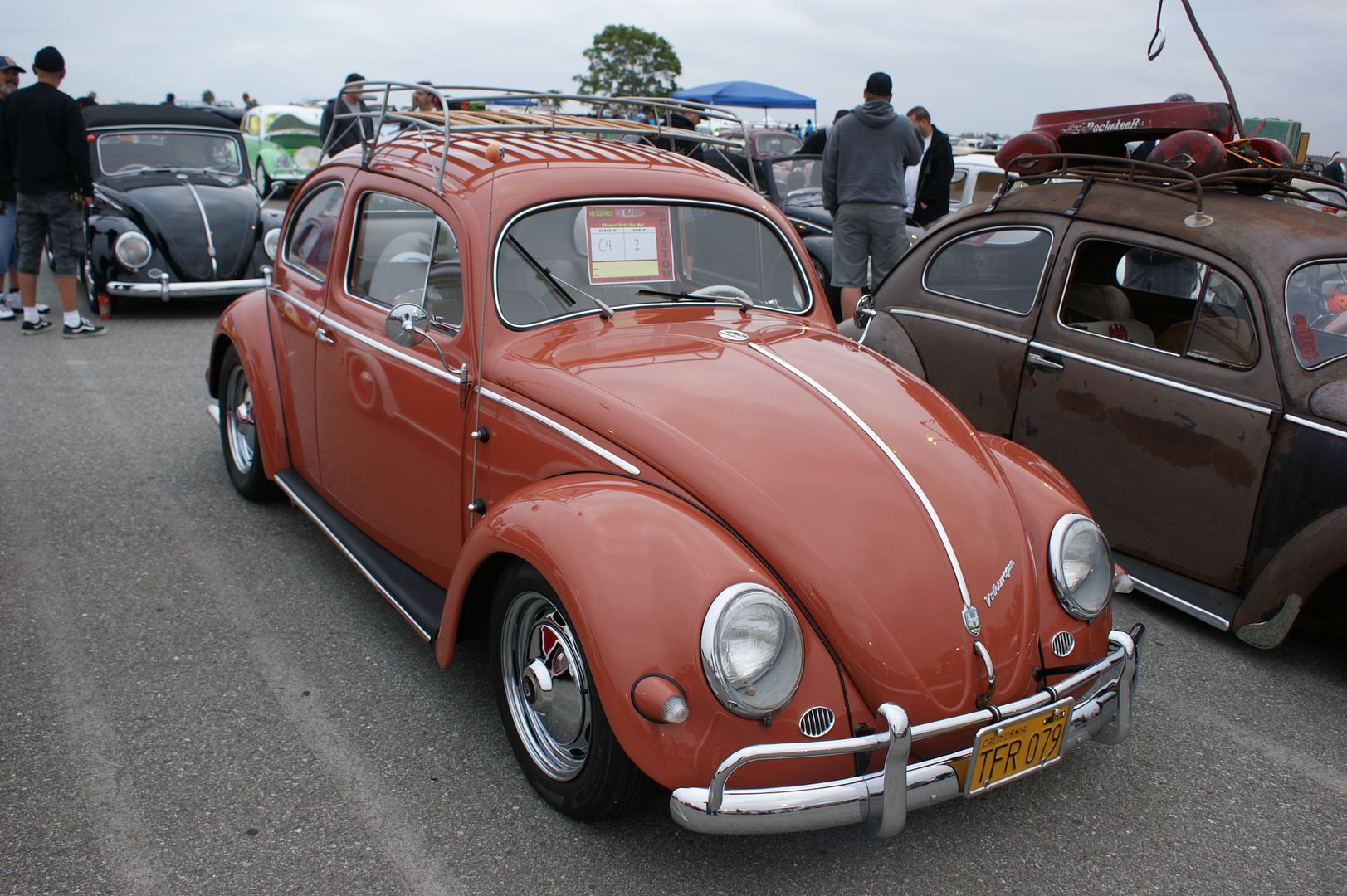 VWclassic2011009.jpg