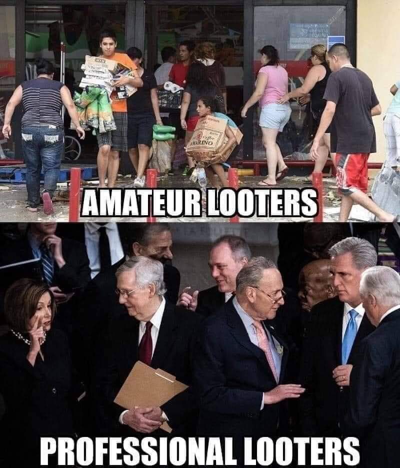 amateur-vs-professional-looters.jpeg