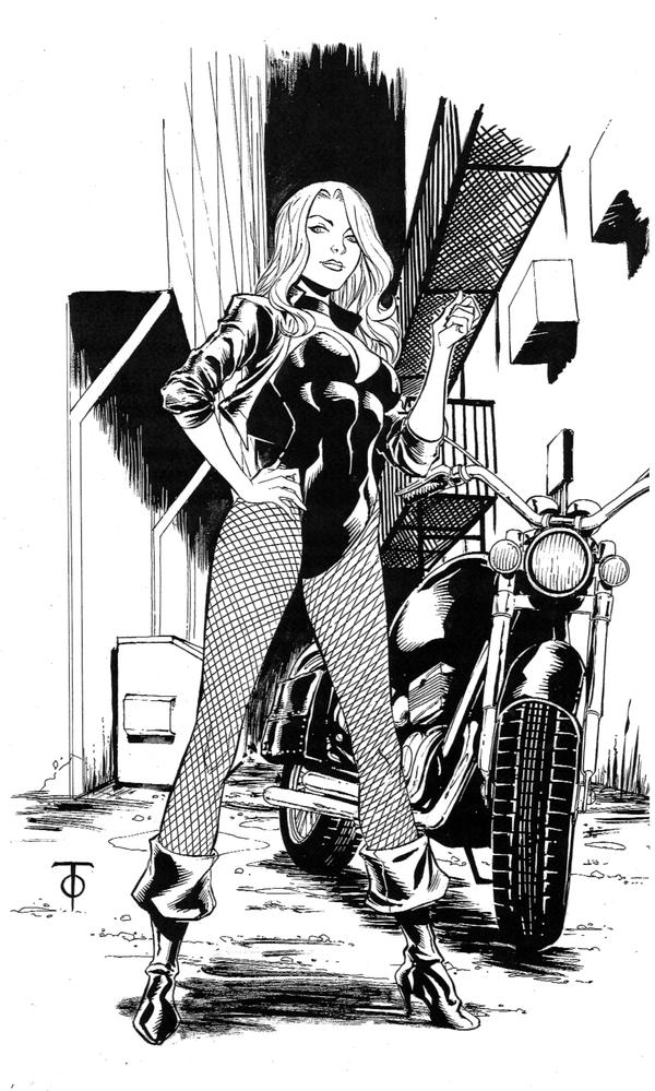 Black_Canary_by_0boywonder0.jpg