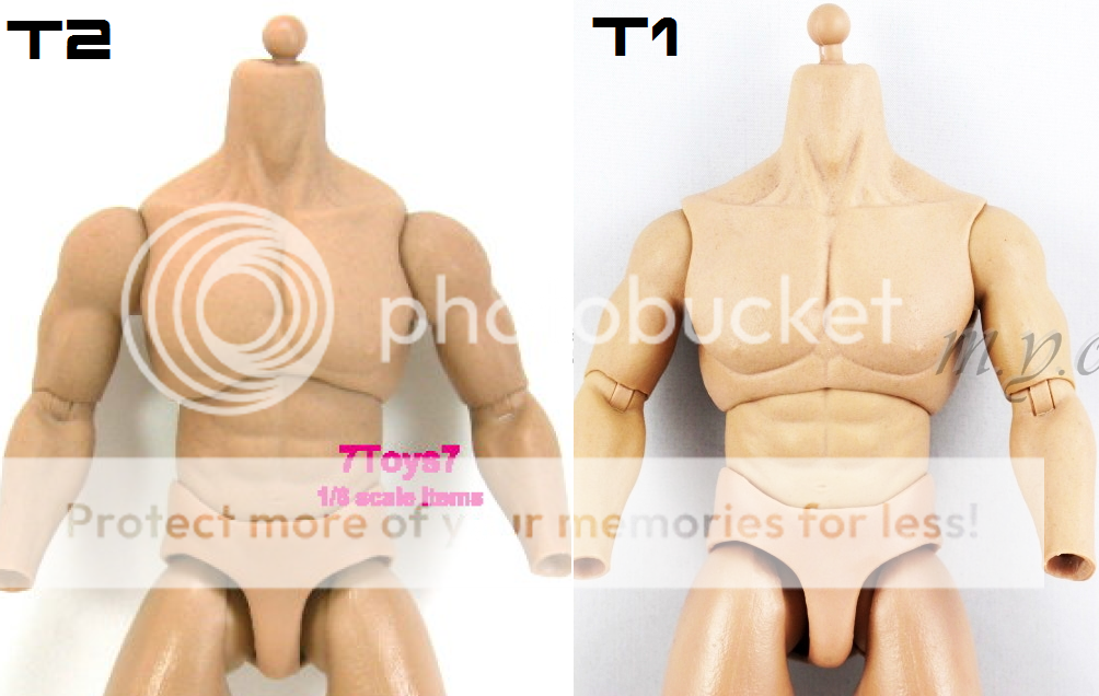 bodycompare.png