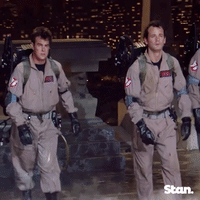 ghostbusters 2 GIF by Stan.