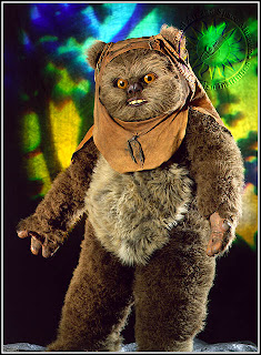 ewok.jpg